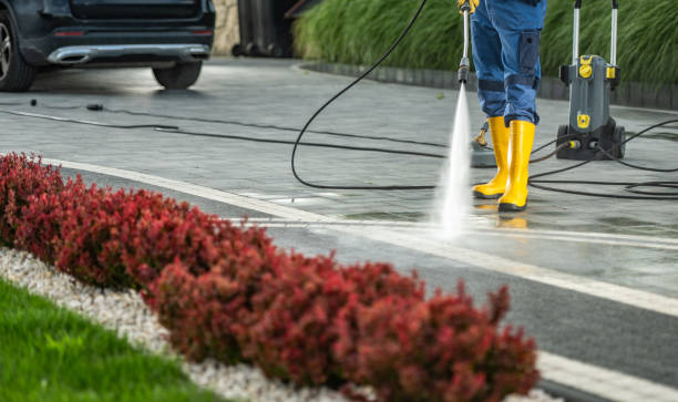 Best Roof Pressure Washing  in Mentone, CA